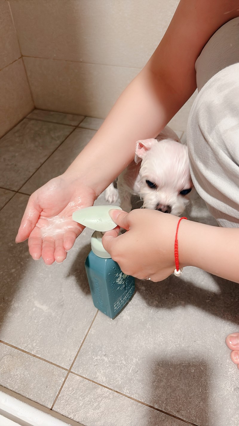 女人知己試用大隊,口碑行銷,部落客行銷,Goodmofamily歸毛家族 寵物肌膚救星組,歸毛家族 寵物肌膚救星,舒敏保濕洗毛乳,護膚噴液,精萃營養霜,博士30年生技專業,給足皮膚營養保護力,無抗生素 無類固醇,神經醯胺,19種綜合胺基酸,榮獲SNQ國家認證,上萬毛爸媽見證,3週幫助皮膚健康,NO.1寵物肌膚口碑霸主,寵物第一護膚領導品牌